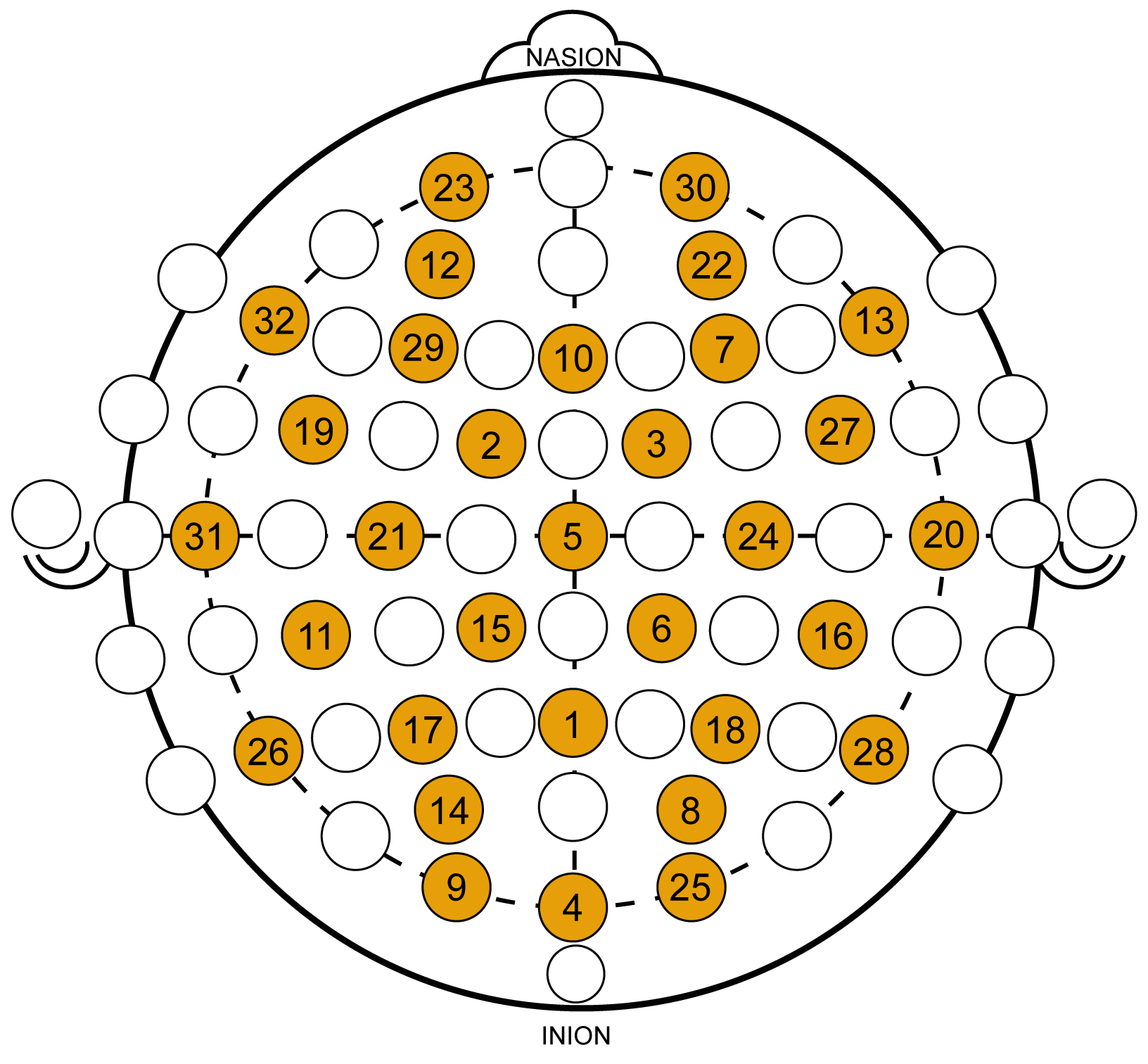 EEG electrode locations ranked for biometric identification